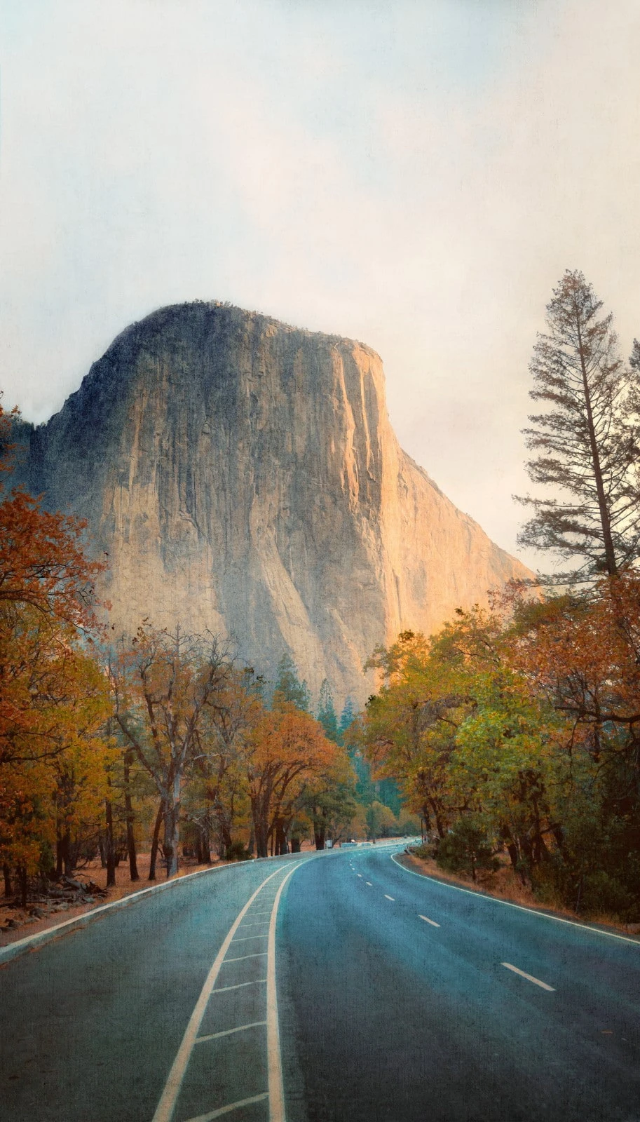 Digitaldruck Herbst Landschaft Grau Orange ML1201 4 Digitaldruck Herbst Landschaft Grau Orange ML1201 – Bild 2