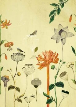 Fototapete Natur Vogel Gelb Orange Onszelf 532036 5 Fototapete Natur Vogel Gelb Orange Onszelf 532036 -Tapetenqualität Fototapete Natur Vogel Gelb orange Onszelf 53203 1