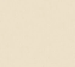 A.S. Creation Tapete Vlies Einfarbig Uni Beige AS Creation 33653-8