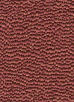 Tapete Vlies 10129-06 Federn 3D Rot -Tapetenqualität Tapete Vlies 10129 06 Federn 3D rot 63205519