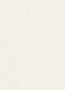 Vlies Tapete Struktur Uni Design Weiß Erismann 5415-01