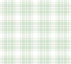 A.S. Creation Vliestapete Kinder Kariert Grün Weiß 38122-2